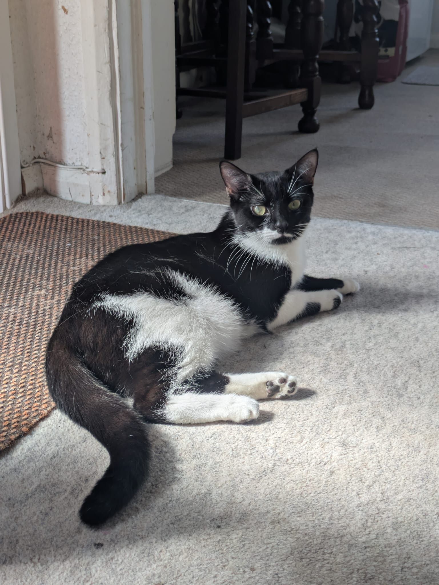 Mittens